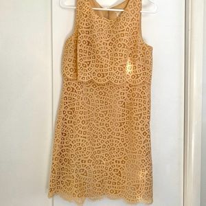 J Crew lace peach dress. Size 4